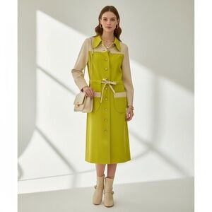 ✧ Vintage French Dress